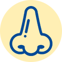 nos
